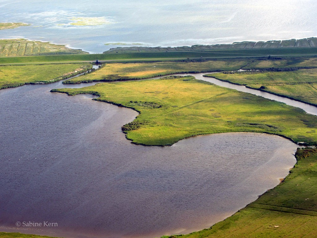 Borkum_Webseite38