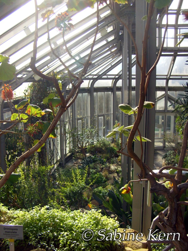 Botanischer Garten