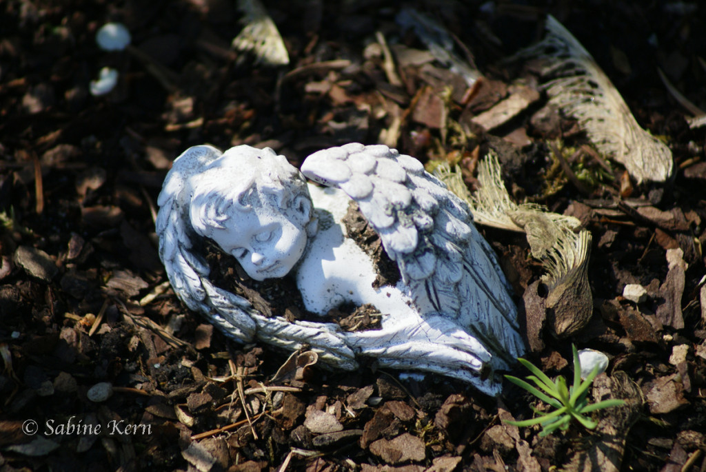 Friedhof Viersen