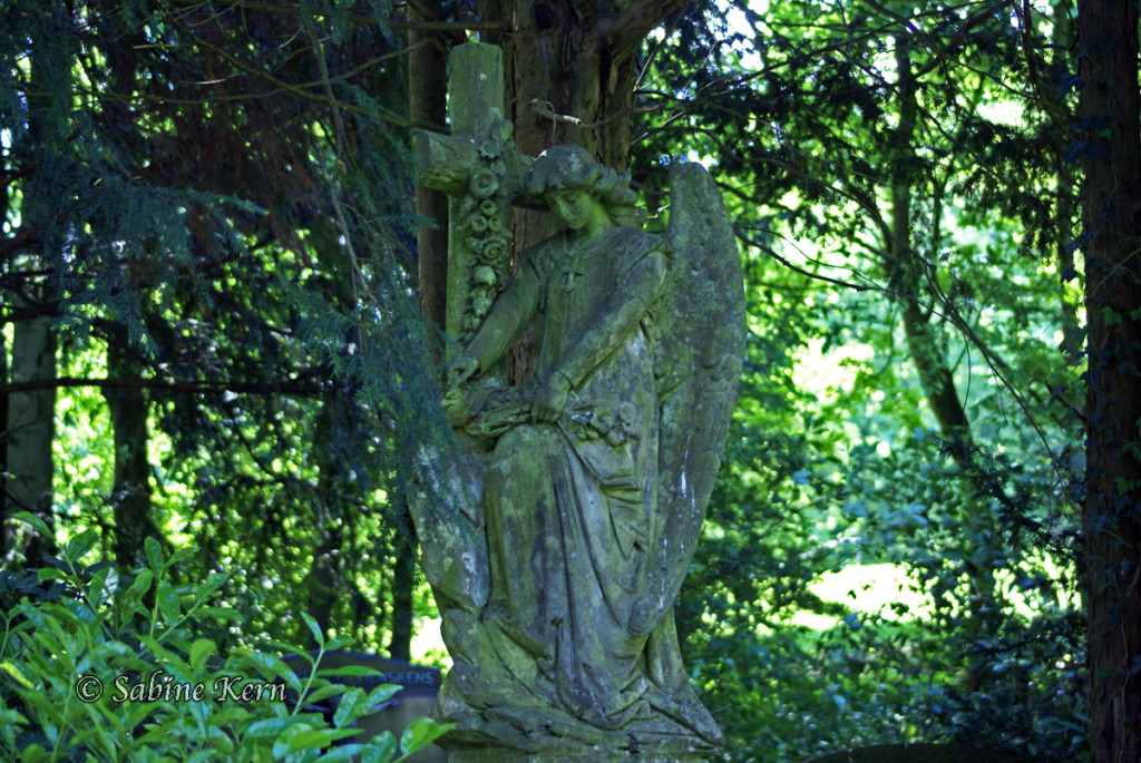 Friedhof Viersen