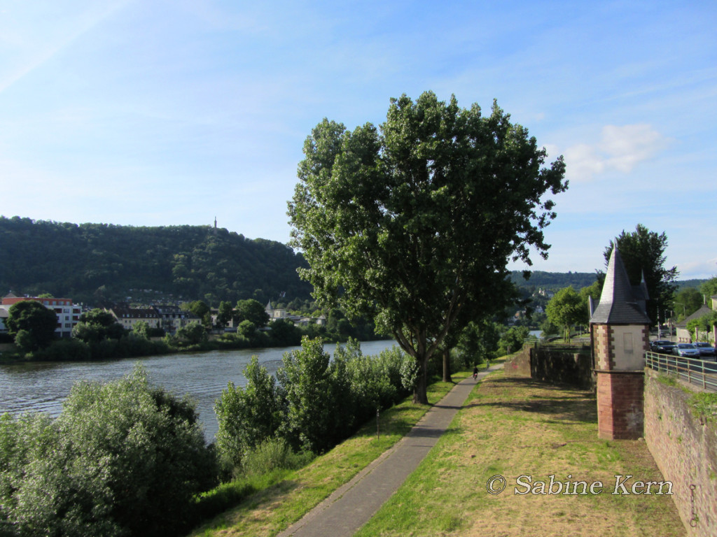 Spaziergang an der Mosel